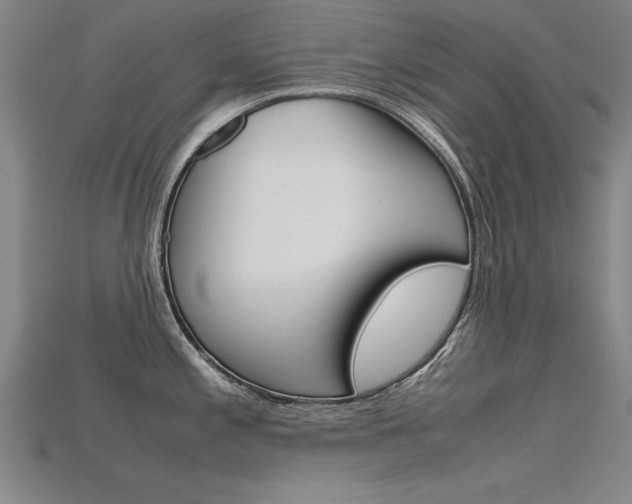 X0000115801197200911131016