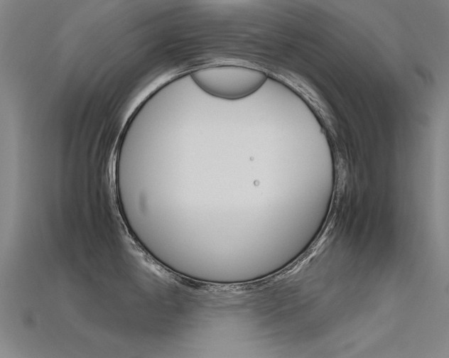 X0000115801198200911131016