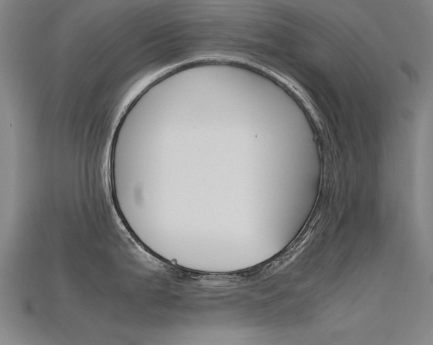 X0000115801199200911131016