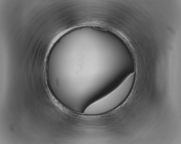 X0000115801200200911131016