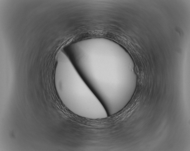 X0000115801201200911131015