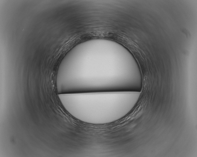 X0000115801202200911131015