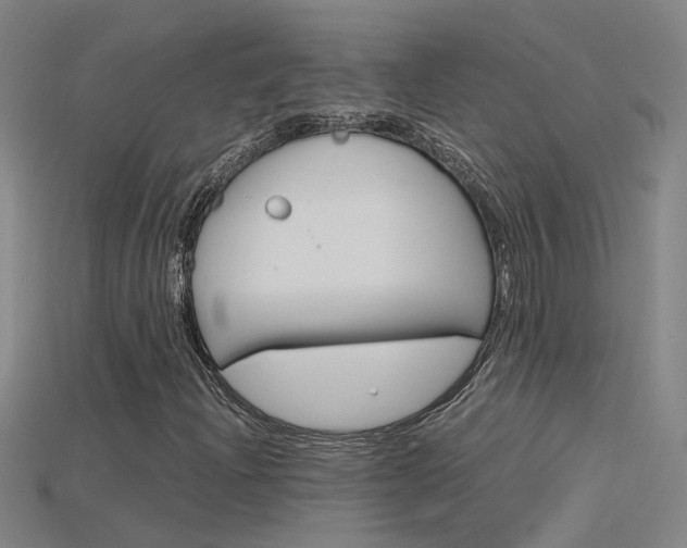 X0000115801204200911131015