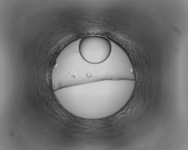 X0000115801205200911131015