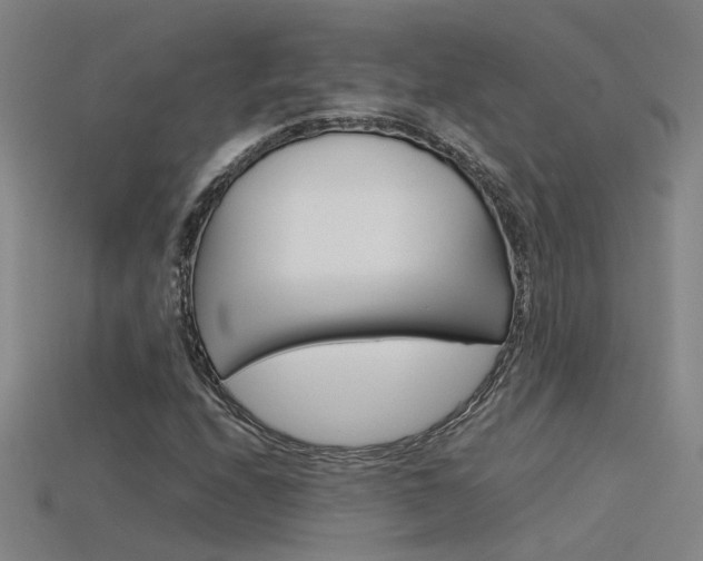X0000115801208200911131015