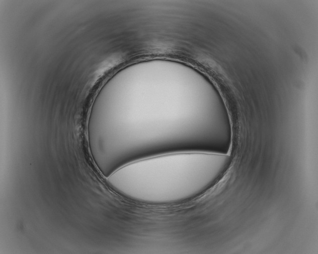 X0000115801210200911131015