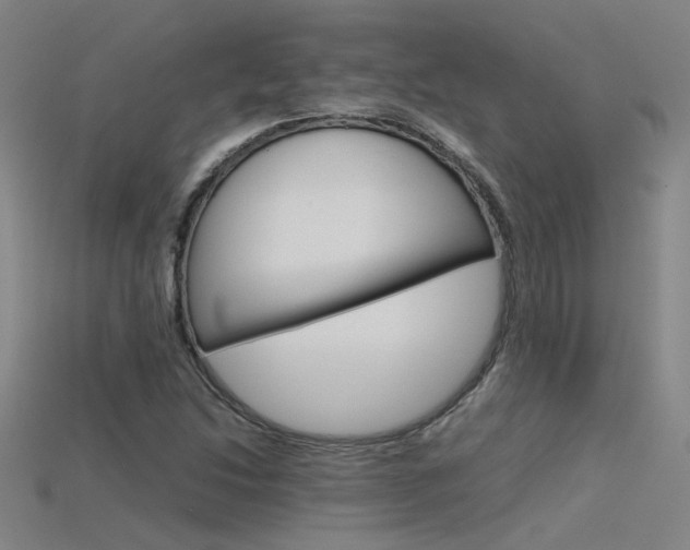 X0000115801214200911131015