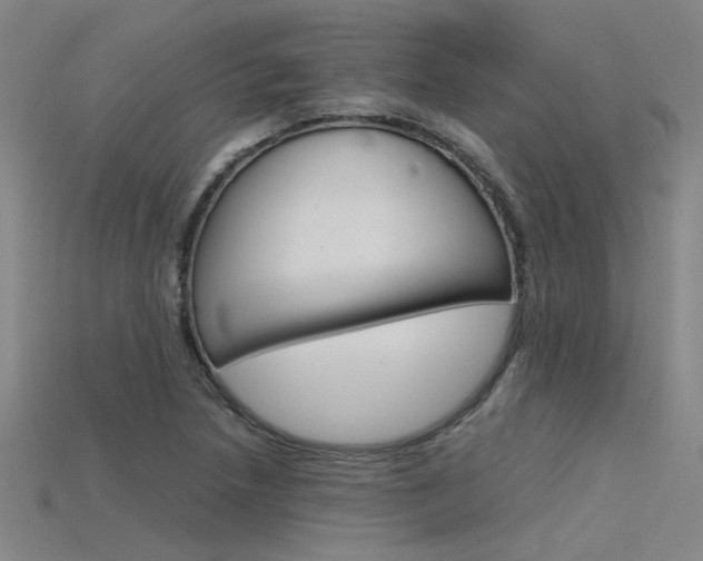 X0000115801218200911131015