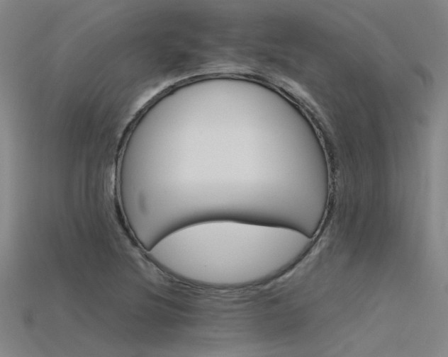 X0000115801220200911131015