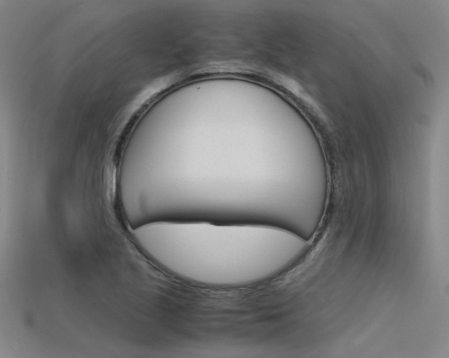 X0000115801221200911131015