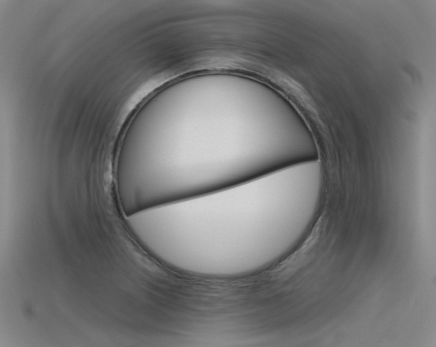 X0000115801226200911131015