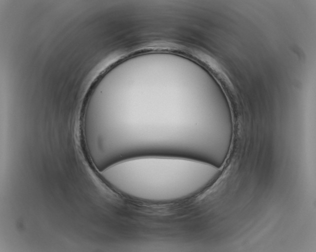 X0000115801229200911131016
