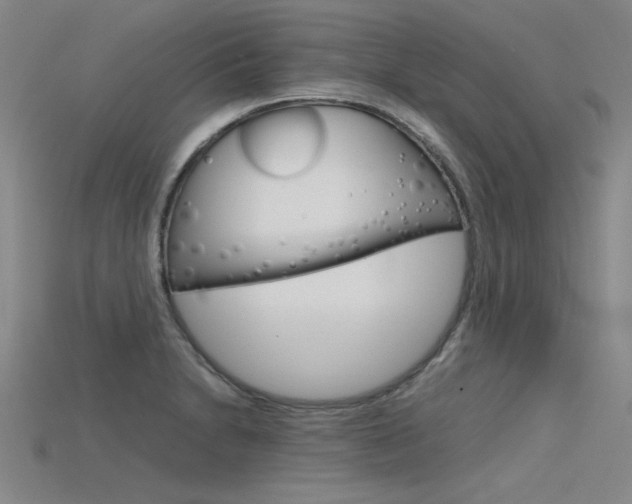 X0000115801230200911131016