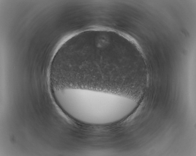 X0000115801231200911131016