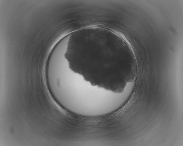 X0000115801235200911131016