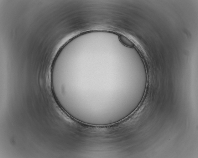 X0000115801238200911131016