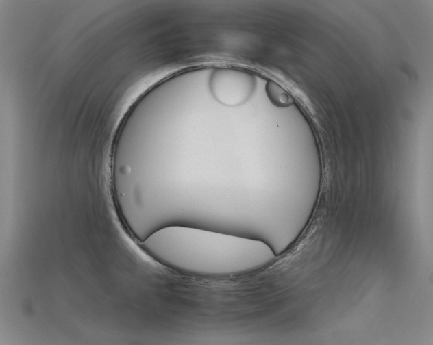 X0000115801239200911131016