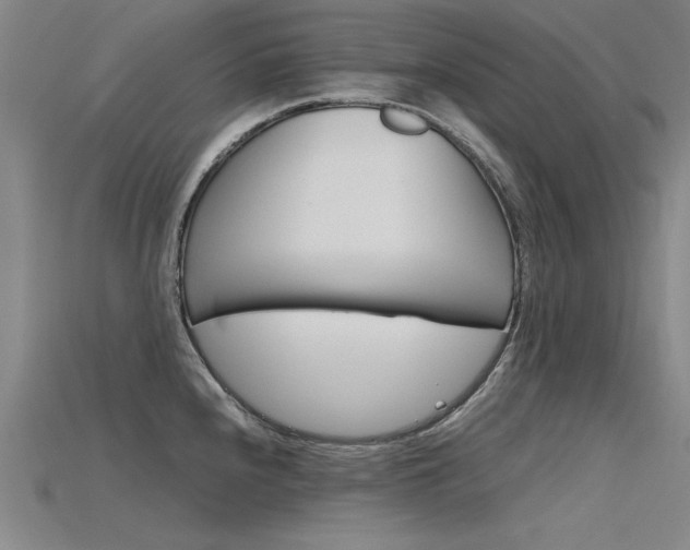 X0000115801240200911131016