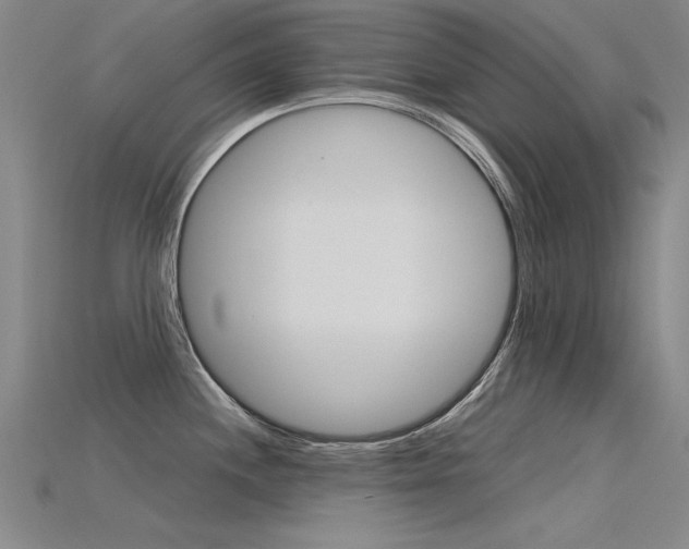 X0000115801244200911131016