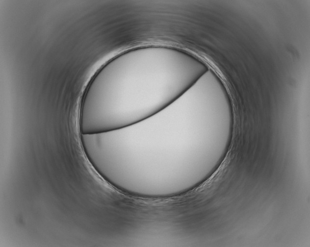X0000115801246200911131016