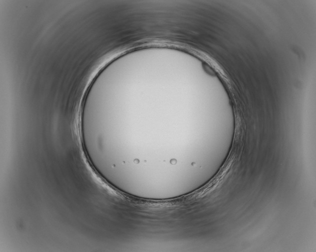 X0000115801247200911131016