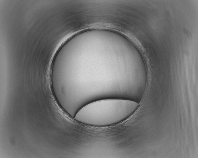X0000115801248200911131016