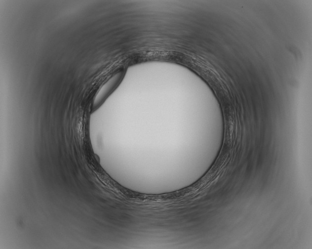 X0000115801250200911131015