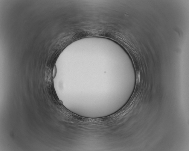 X0000115801251200911131015