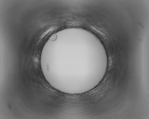 X0000115801254200911131015