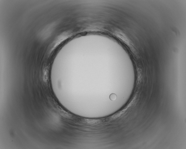 X0000115801258200911131015