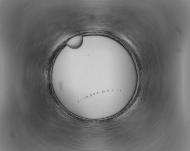 X0000115801259200911131015