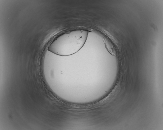 X0000115801261200911131015