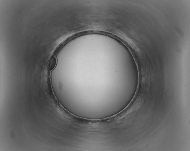 X0000115801264200911131015
