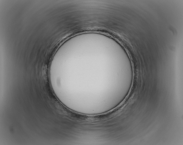X0000115801265200911131015