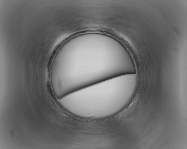 X0000115801267200911131015