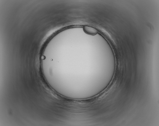 X0000115801270200911131015