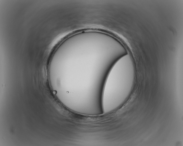 X0000115801271200911131015