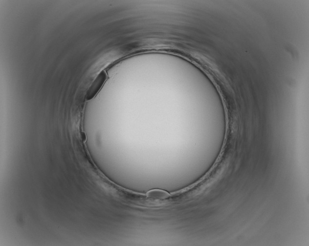 X0000115801273200911131015
