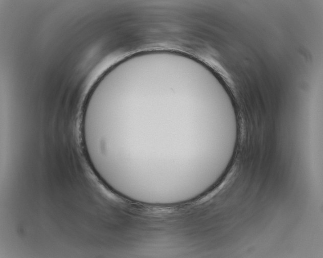 X0000115801278200911131015