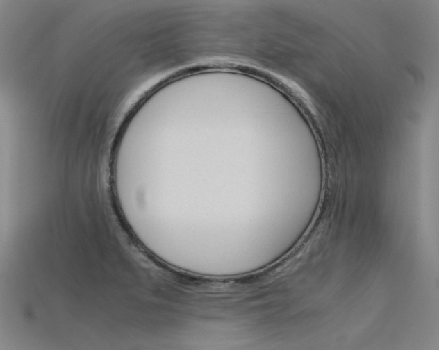 X0000115801279200911131015