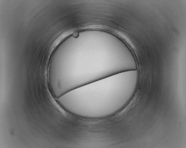 X0000115801282200911131015