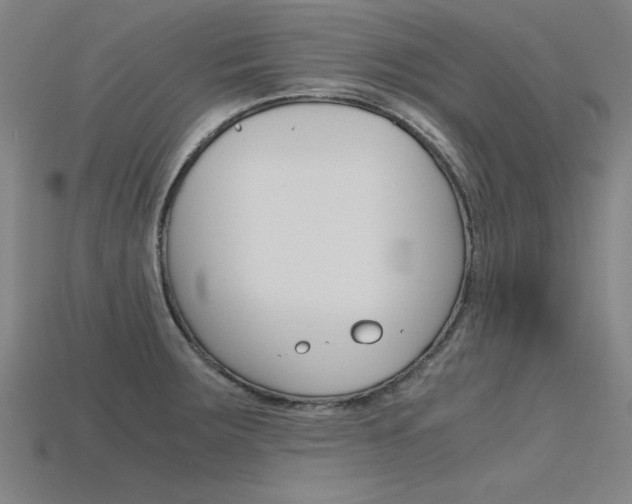 X0000115801283200911131015