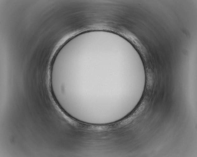 X0000115801286200911131014