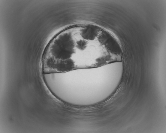 X0000115801287200911131014