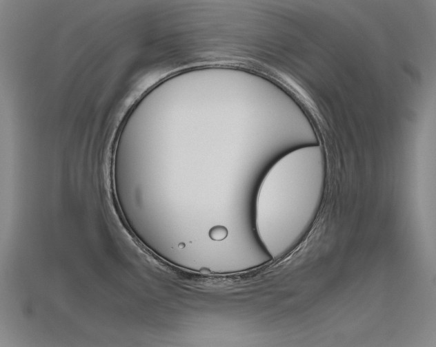X0000115801291200911131014