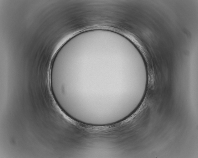 X0000115801294200911131014