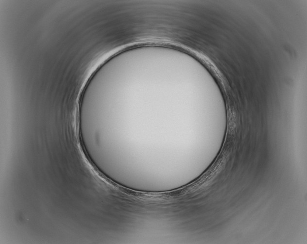 X0000115801295200911131014