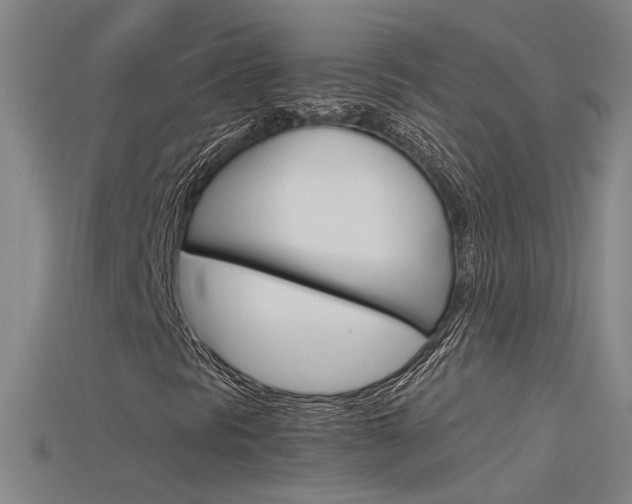 X0000115801297200911131014