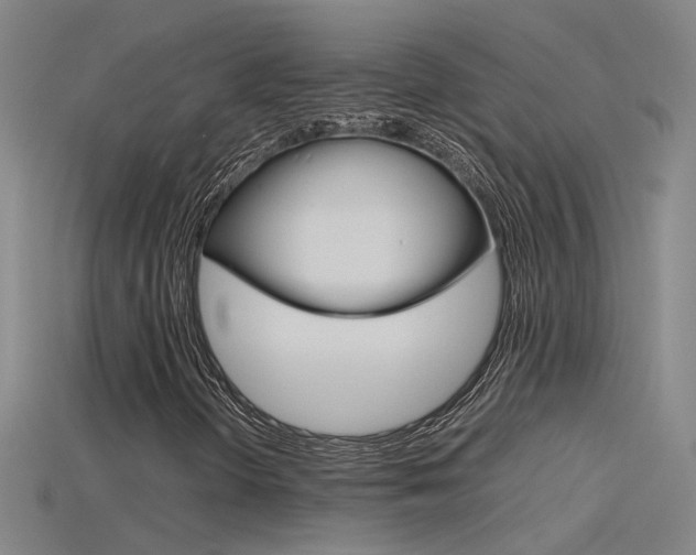X0000115801298200911131014