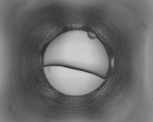 X0000115801299200911131014